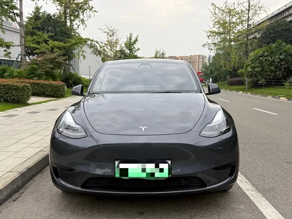 Tesla Model Y — фото 2