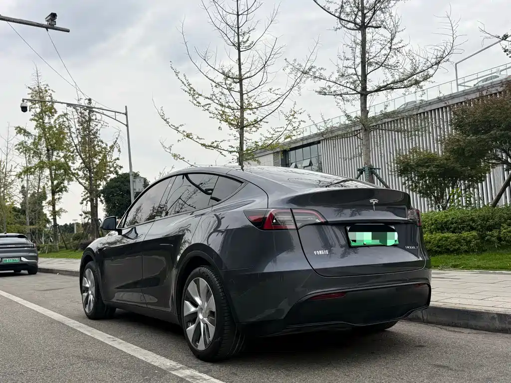 Tesla Model Y — фото 11