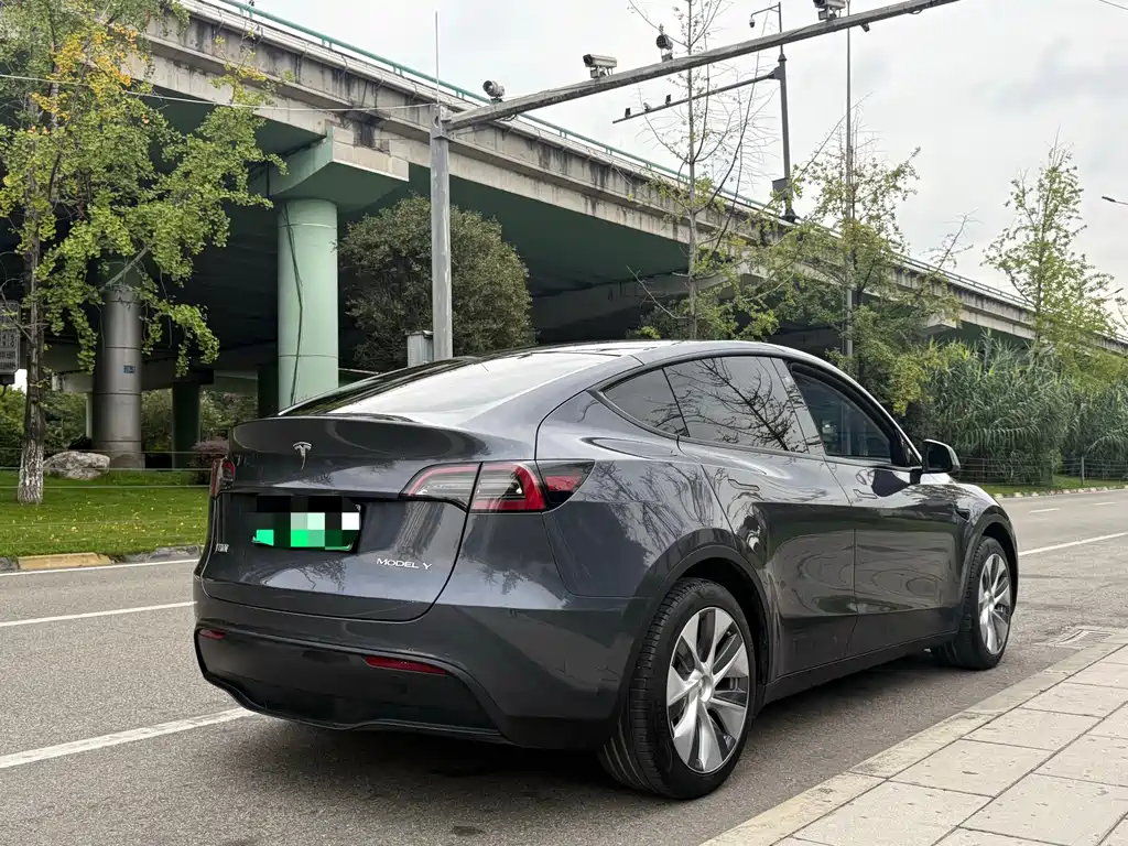 Tesla Model Y — фото 9