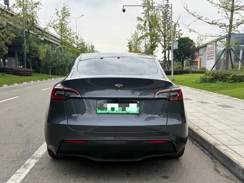 Tesla Model Y — фото 10