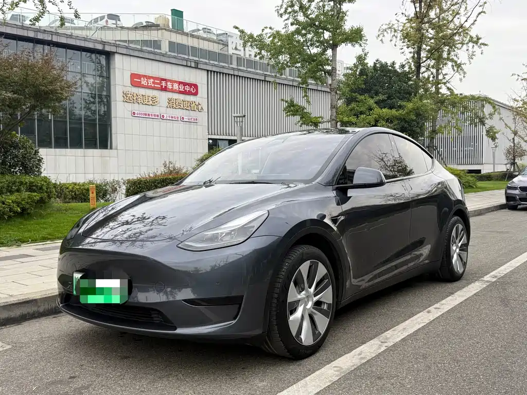 Tesla Model Y — фото 1