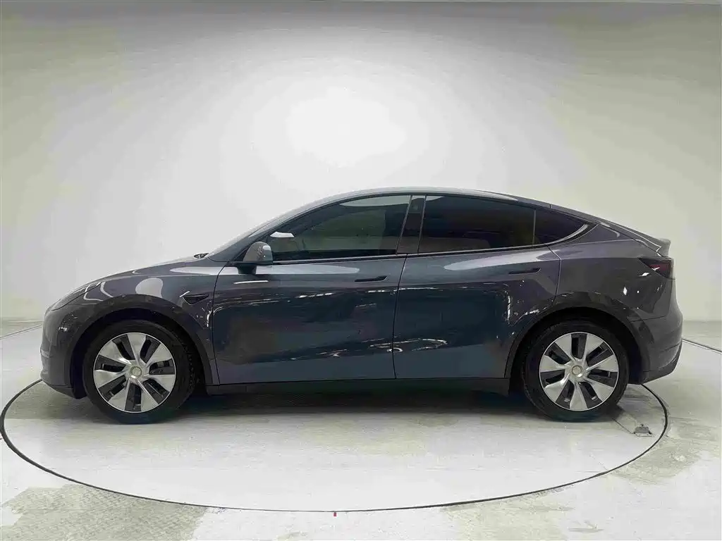 Tesla Model Y — фото 19