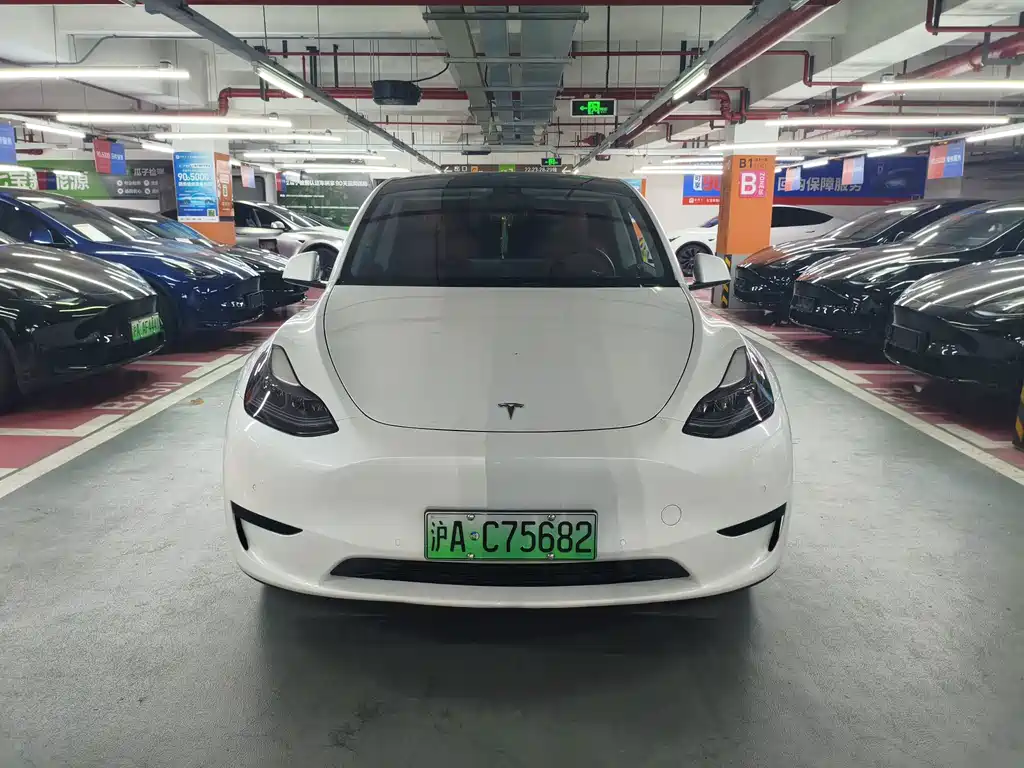 Tesla Model Y — фото 2