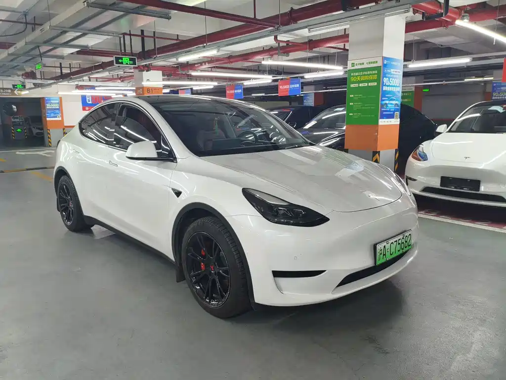 Tesla Model Y — фото 3