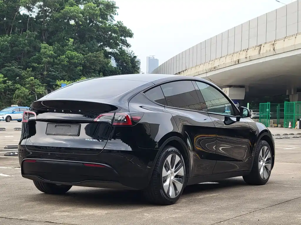 Tesla Model Y — фото 10