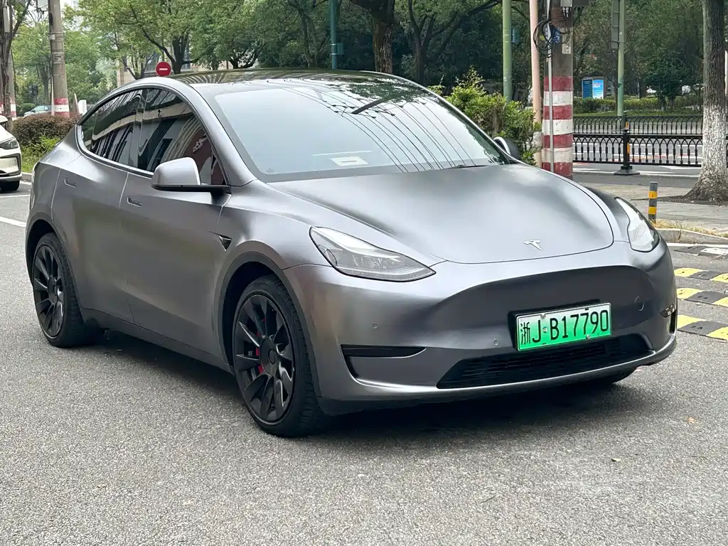 Tesla Model Y — фото 11