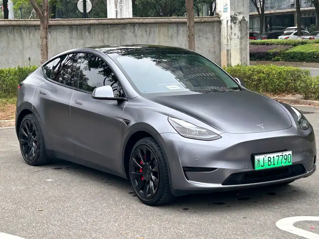 Tesla Model Y — фото 3