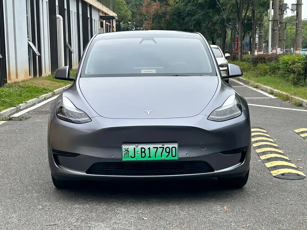 Tesla Model Y — фото 10