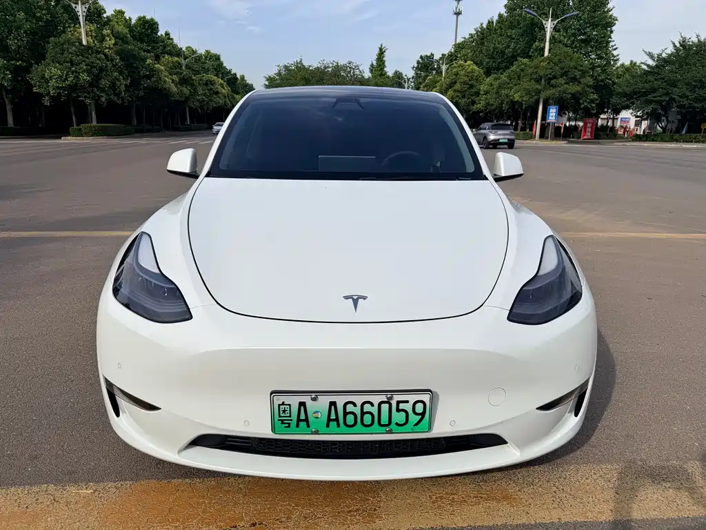 Tesla Model Y — фото 2