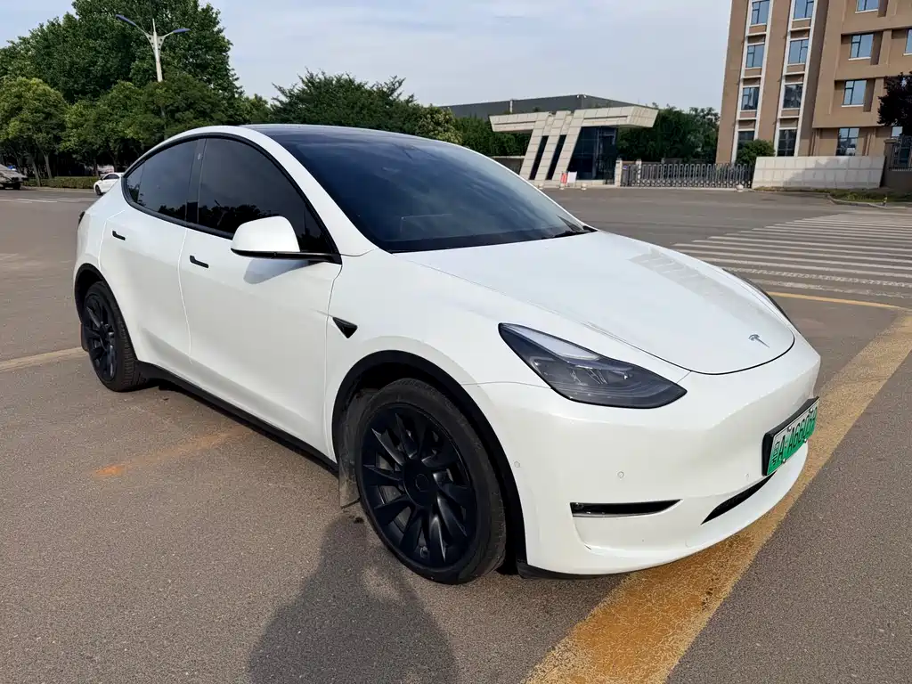 Tesla Model Y — фото 3