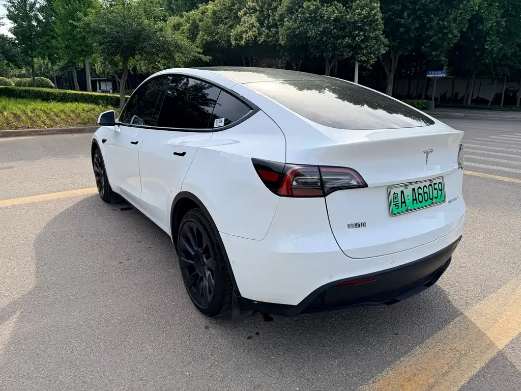 Tesla Model Y — фото 7