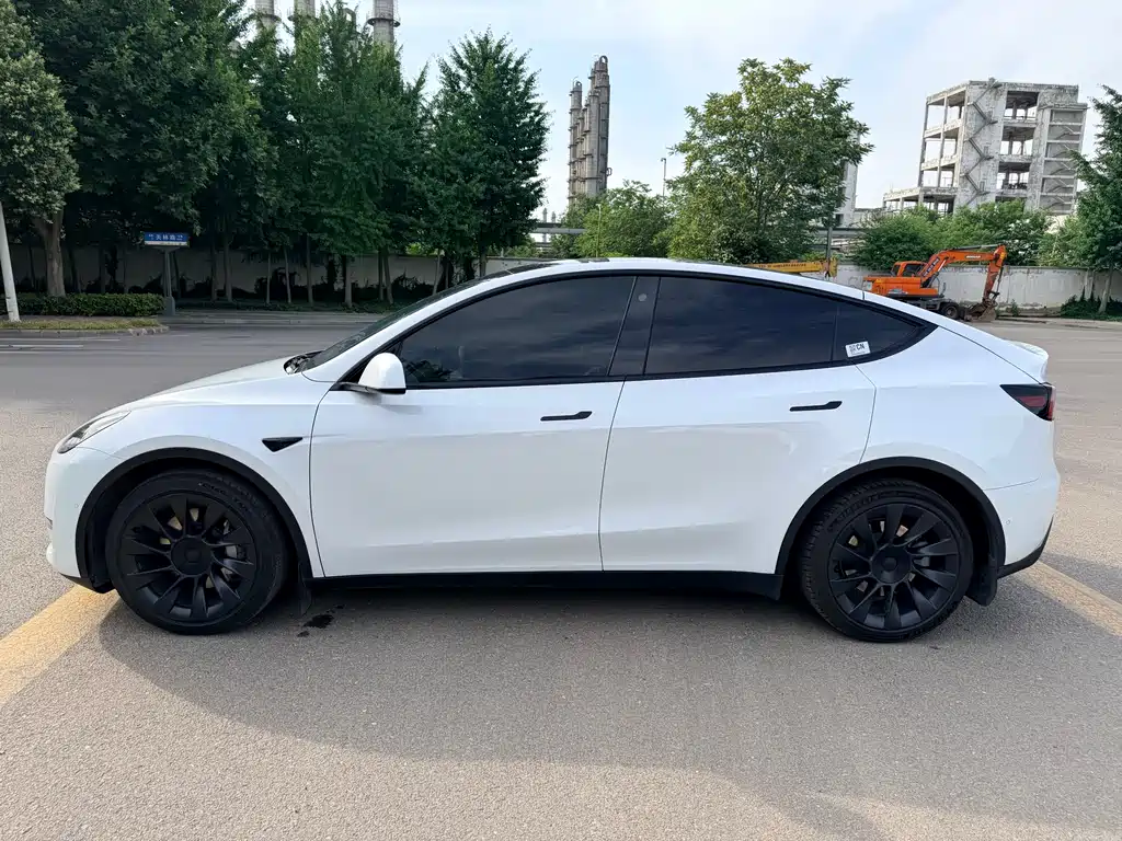 Tesla Model Y — фото 8