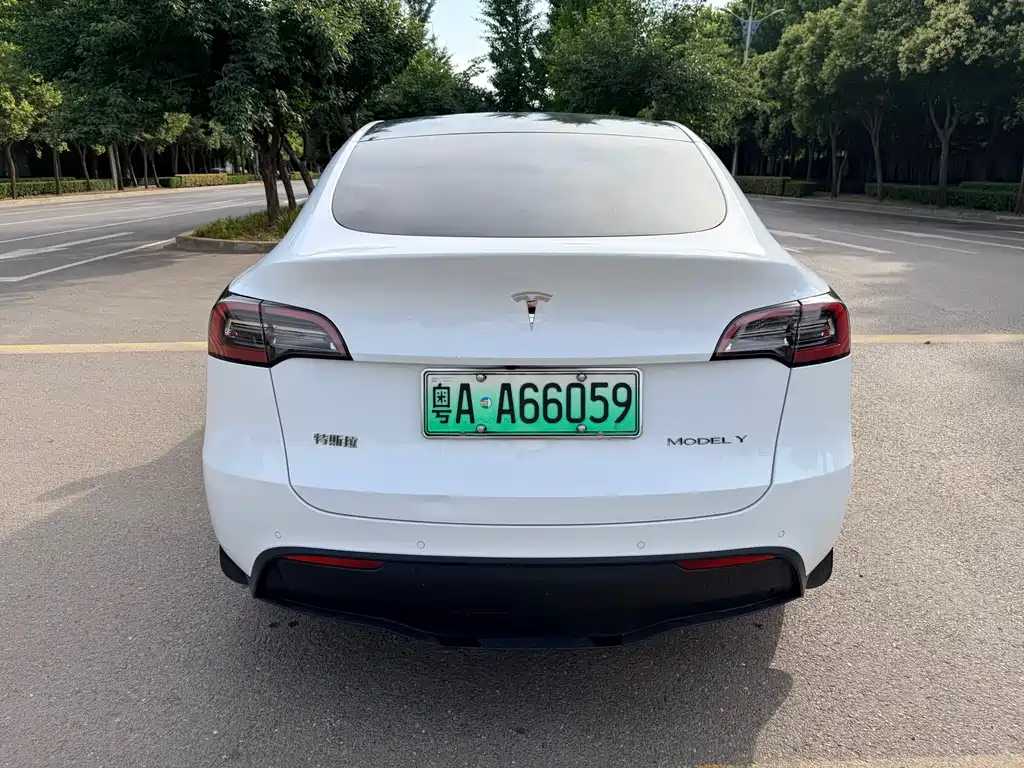 Tesla Model Y — фото 9