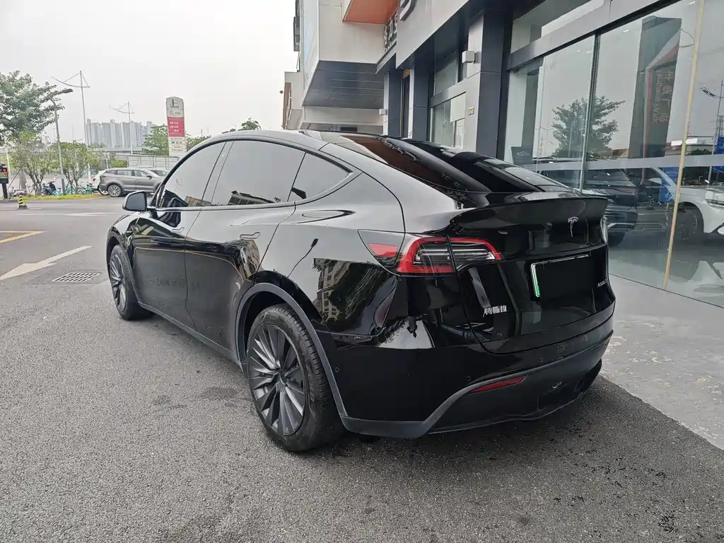 Tesla Model Y — фото 20