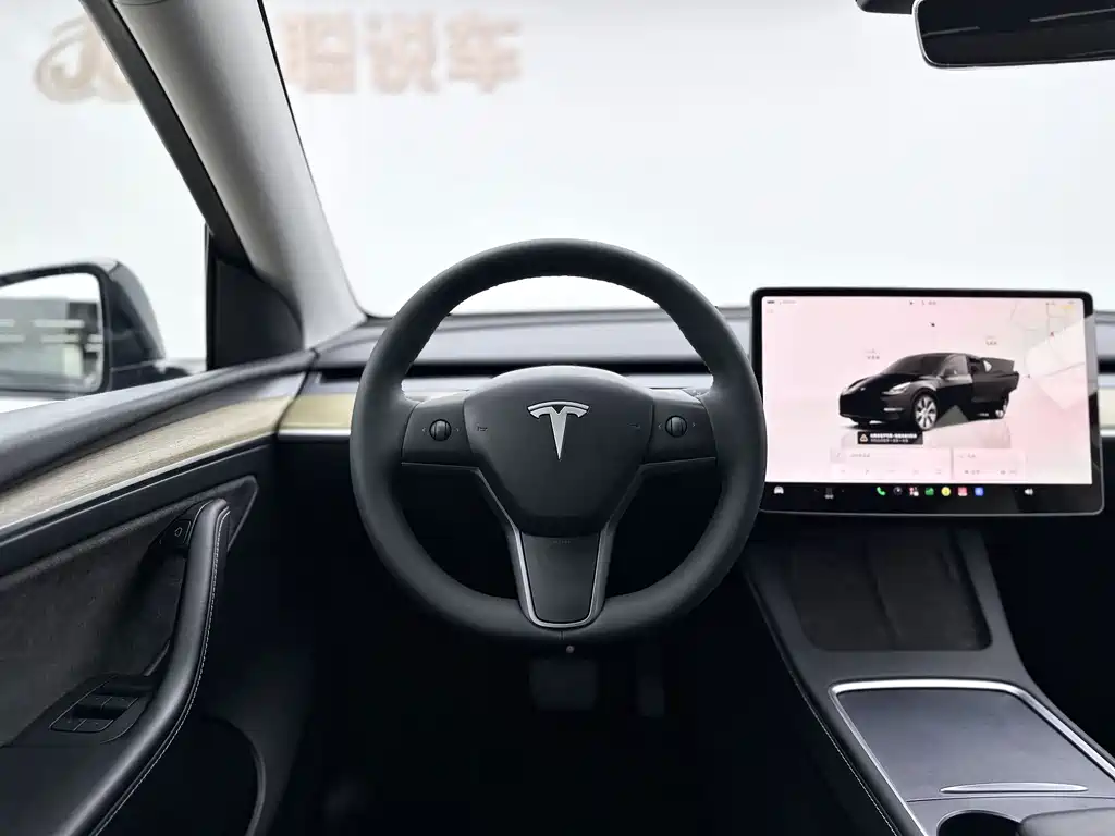 Tesla Model Y — фото 9