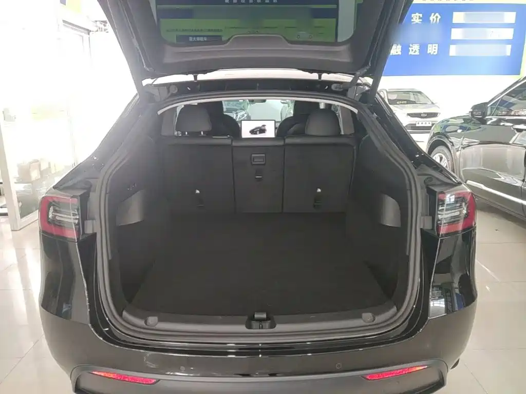 Tesla Model Y — фото 15