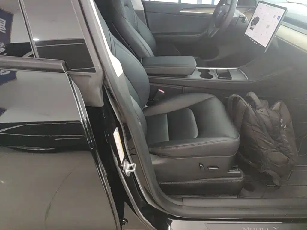 Tesla Model Y — фото 20
