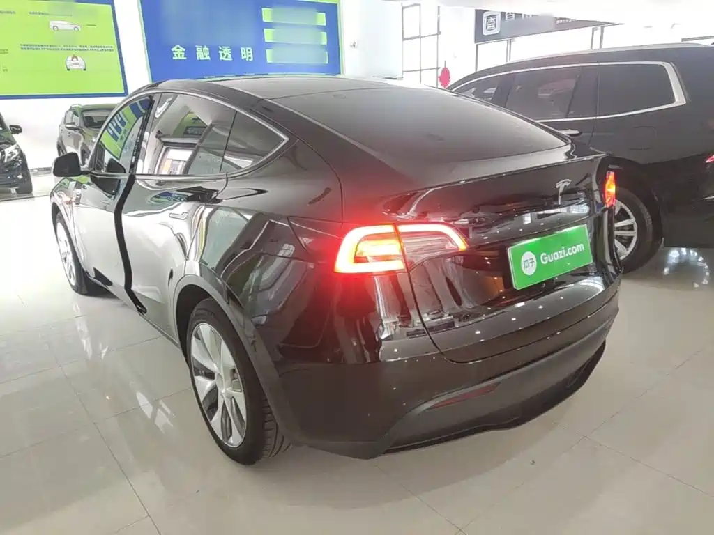 Tesla Model Y — фото 23