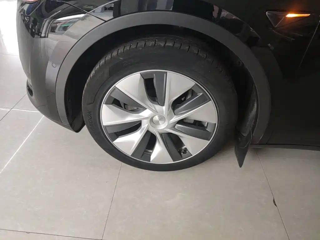 Tesla Model Y — фото 25
