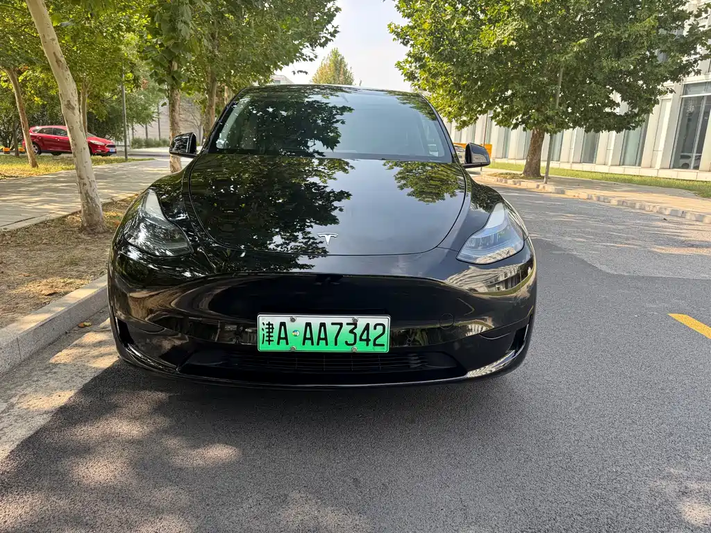 Tesla Model Y — фото 2