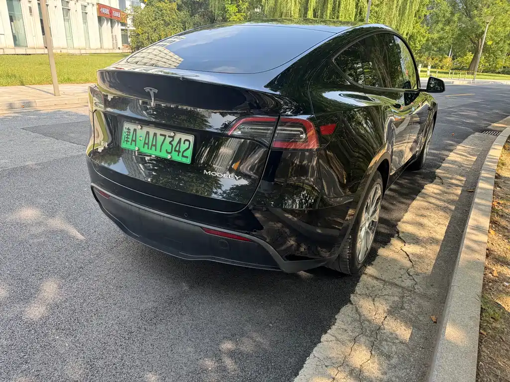 Tesla Model Y — фото 3