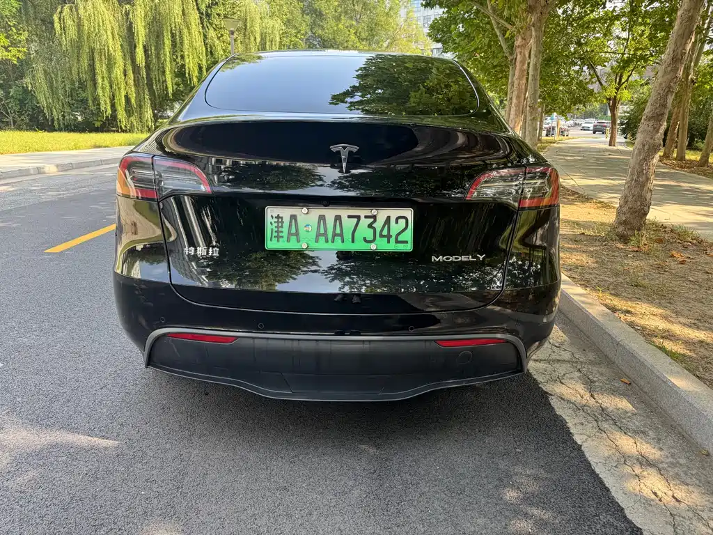 Tesla Model Y — фото 4