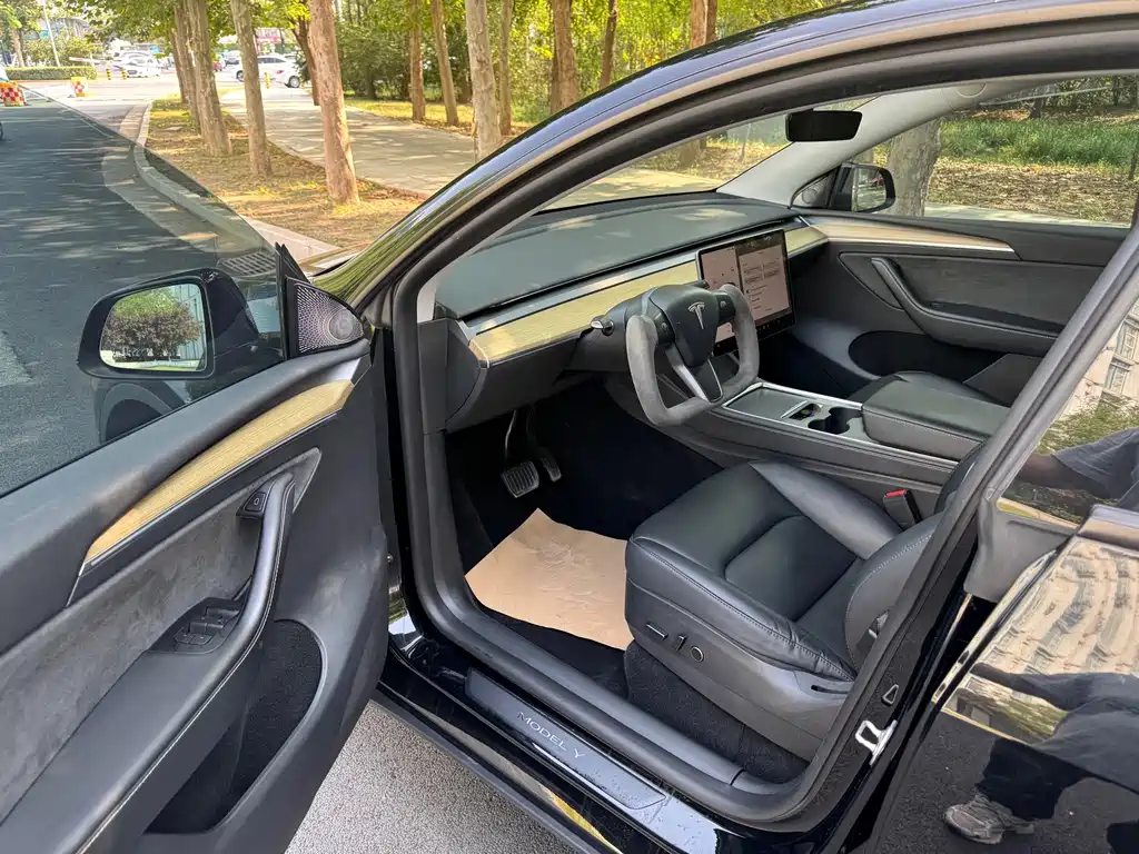 Tesla Model Y — фото 6