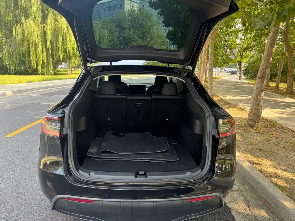 Tesla Model Y — фото 9
