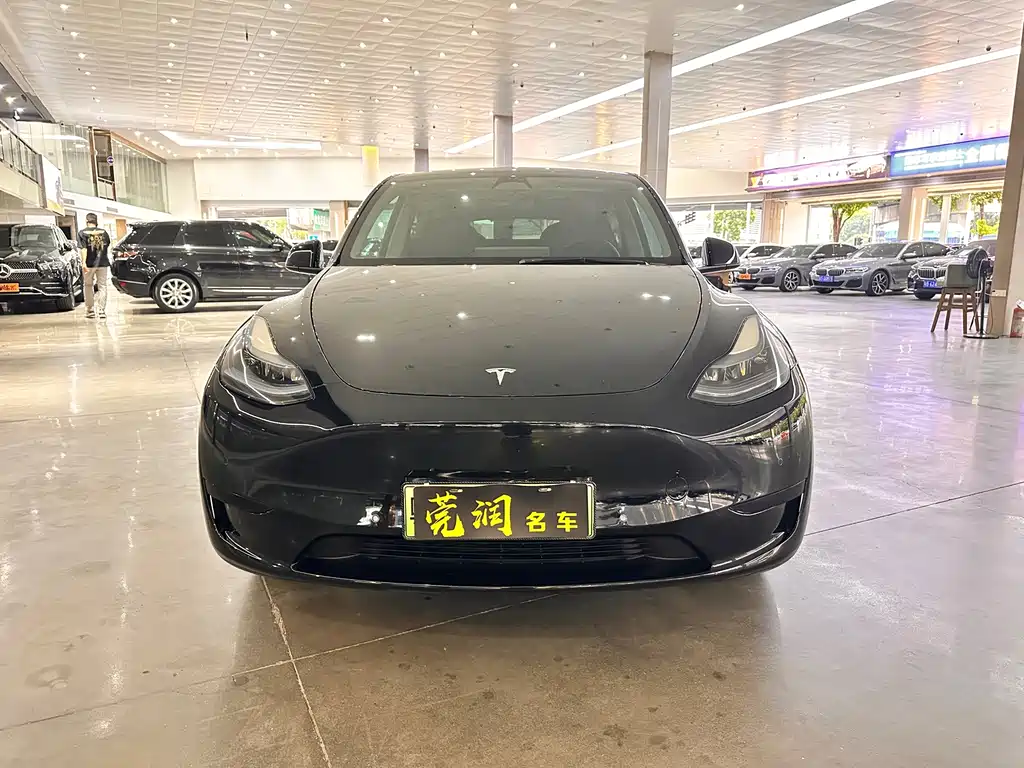 Tesla Model Y — фото 2