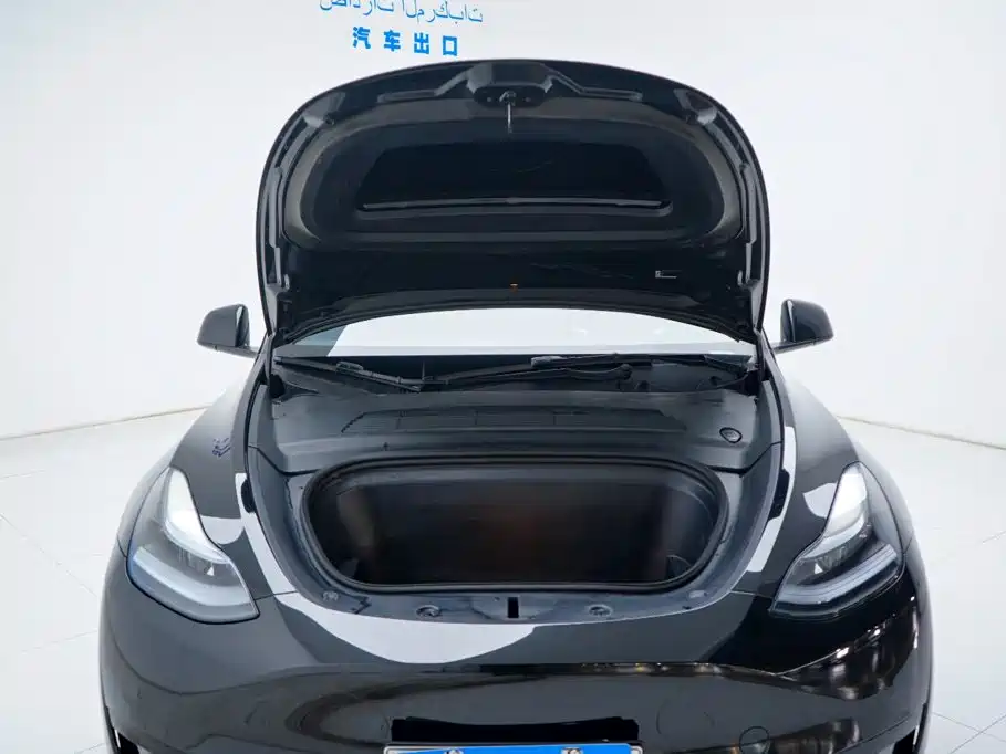 Tesla Model Y — фото 15