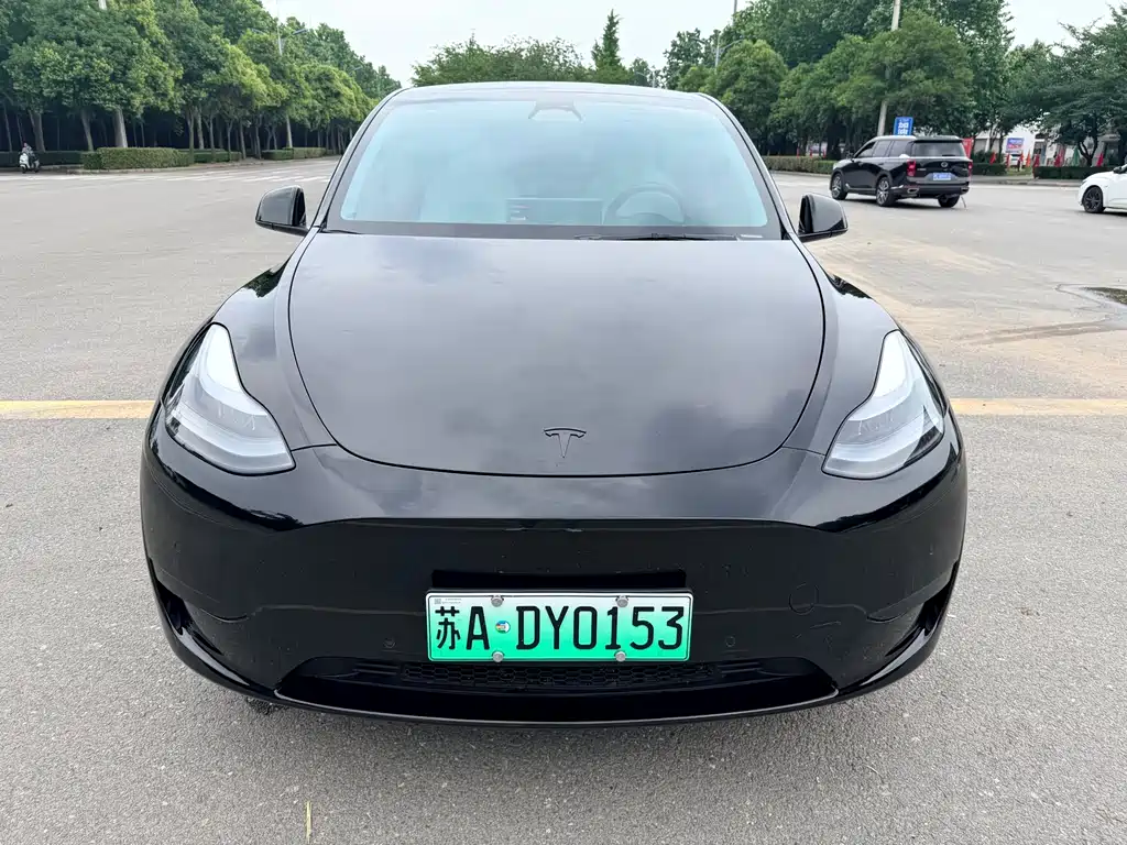 Tesla Model Y — фото 2