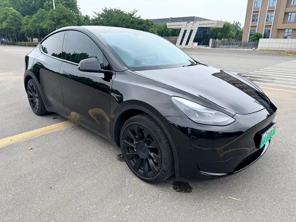 Tesla Model Y — фото 3