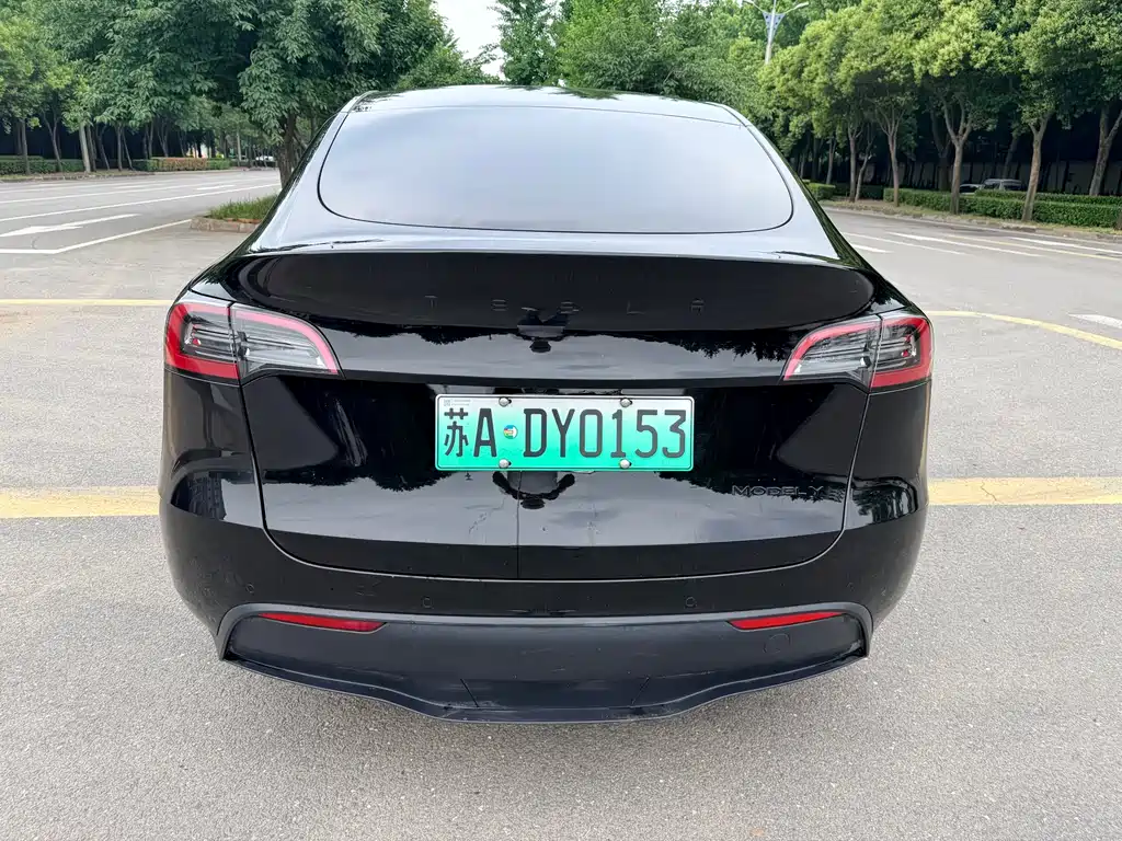 Tesla Model Y — фото 9
