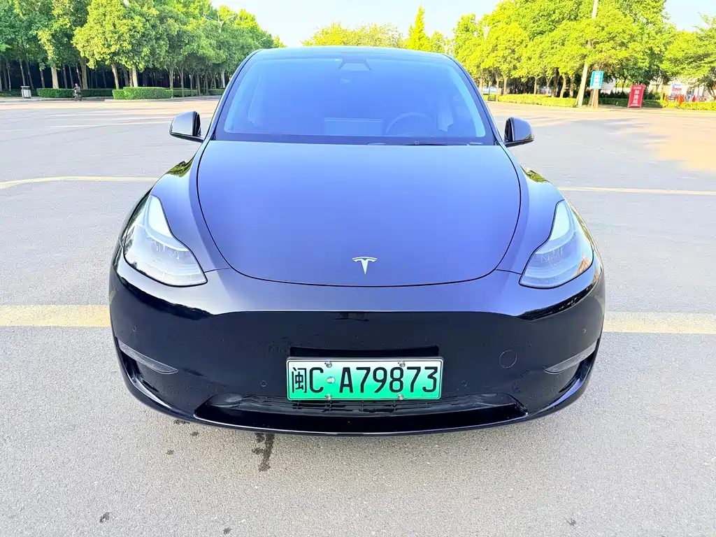 Tesla Model Y — фото 2