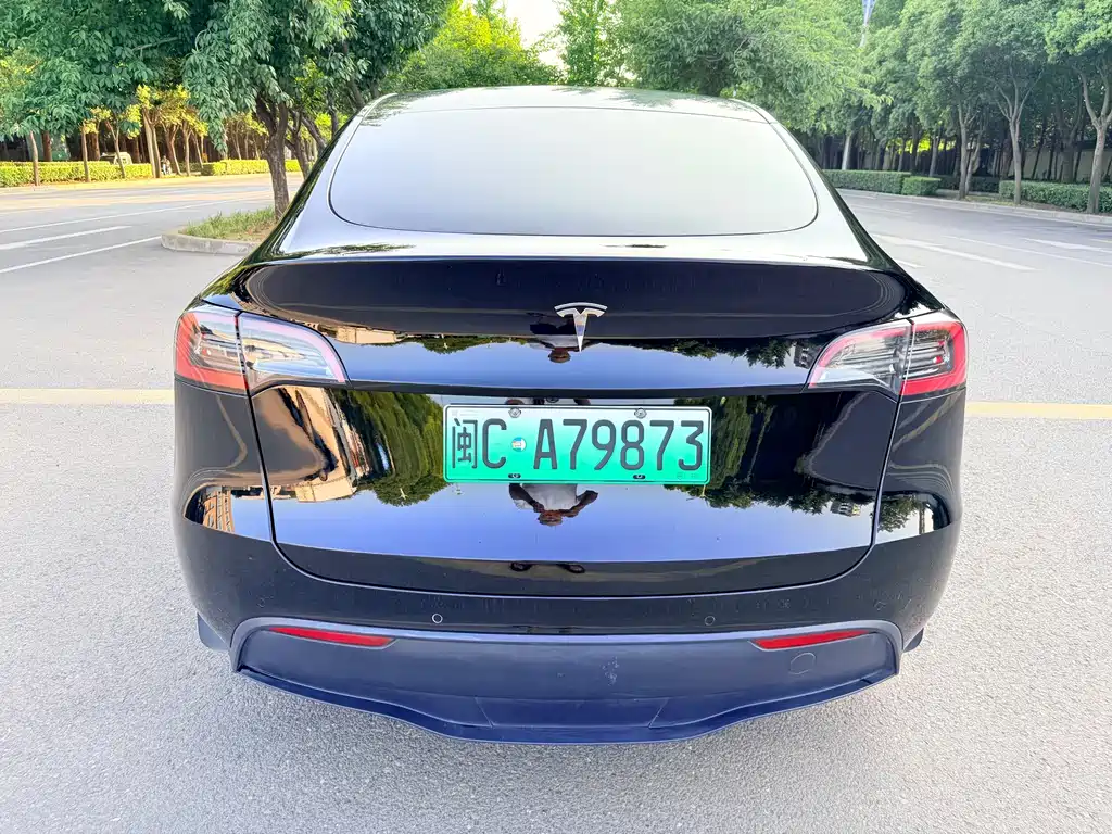 Tesla Model Y — фото 9