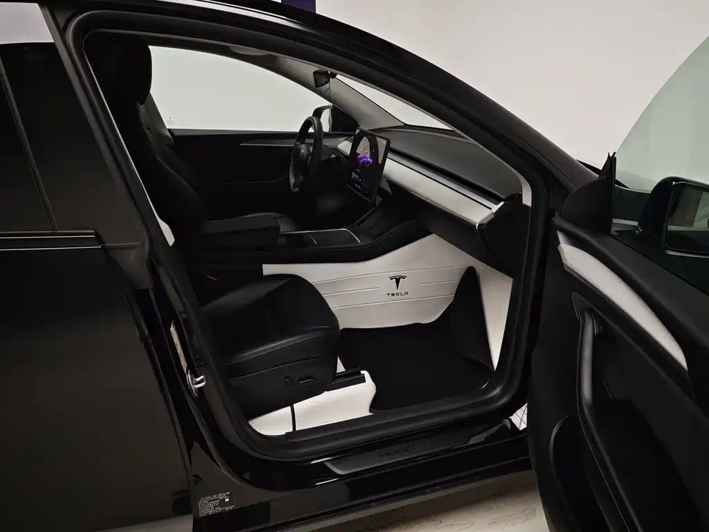Tesla Model Y — фото 11
