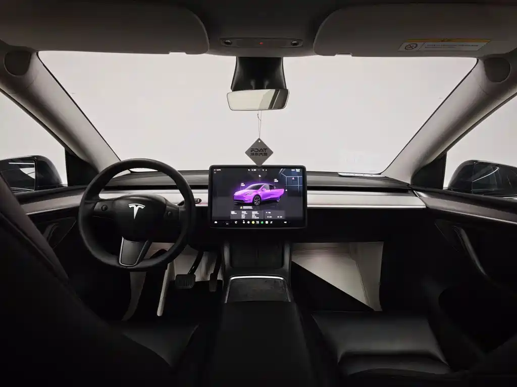 Tesla Model Y — фото 17