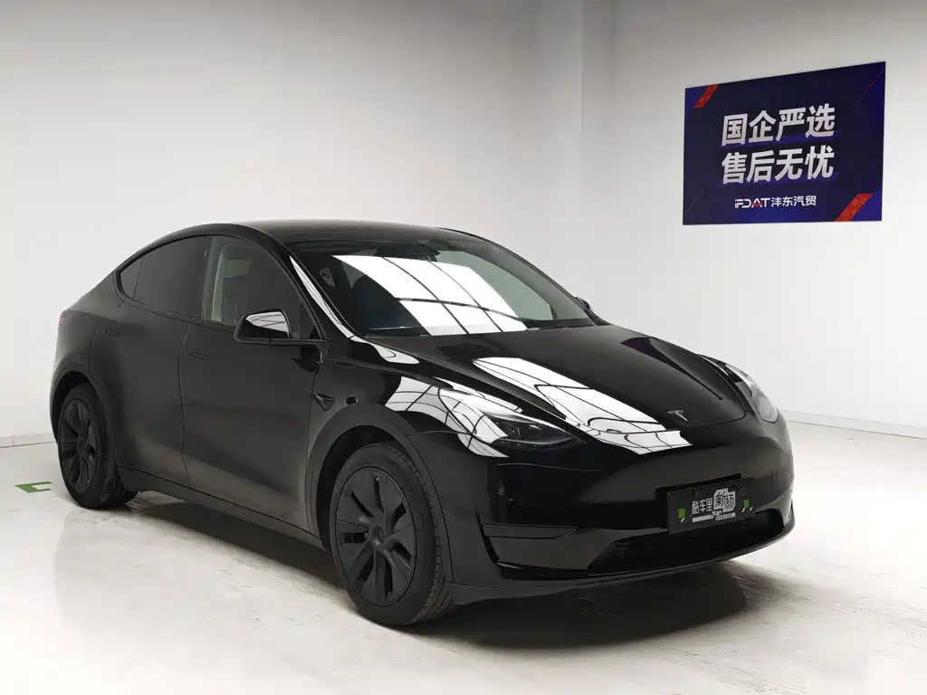 Tesla Model Y — фото 3