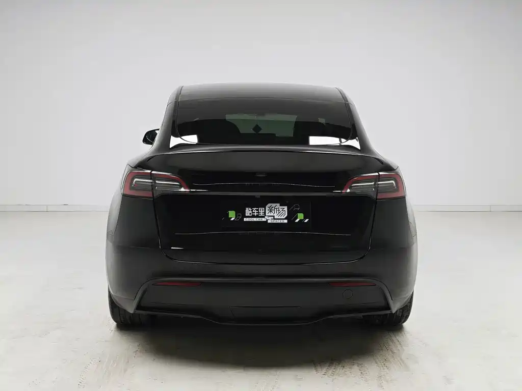 Tesla Model Y — фото 5