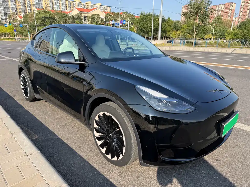 Tesla Model Y — фото 3