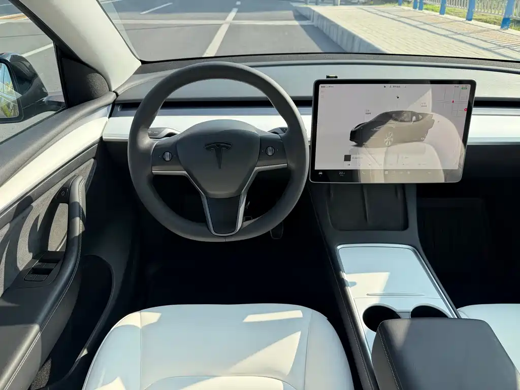 Tesla Model Y — фото 9