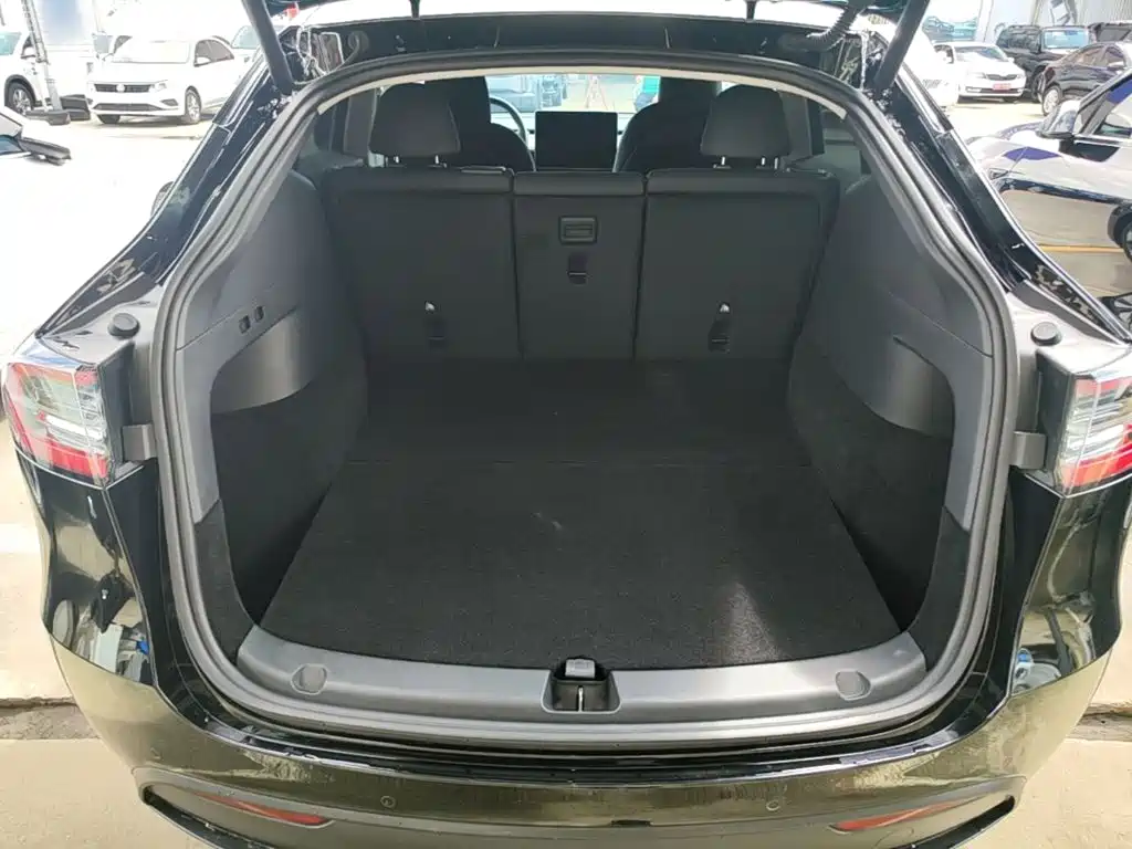Tesla Model Y — фото 15