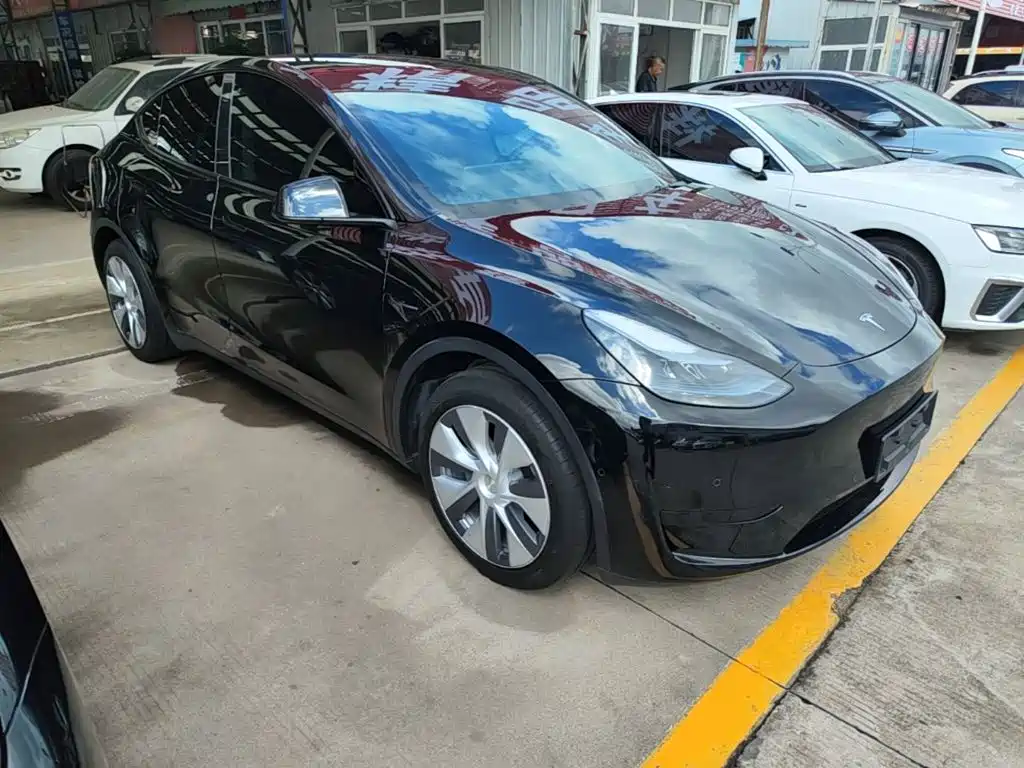 Tesla Model Y — фото 22