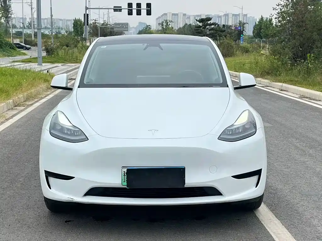Tesla Model Y — фото 2