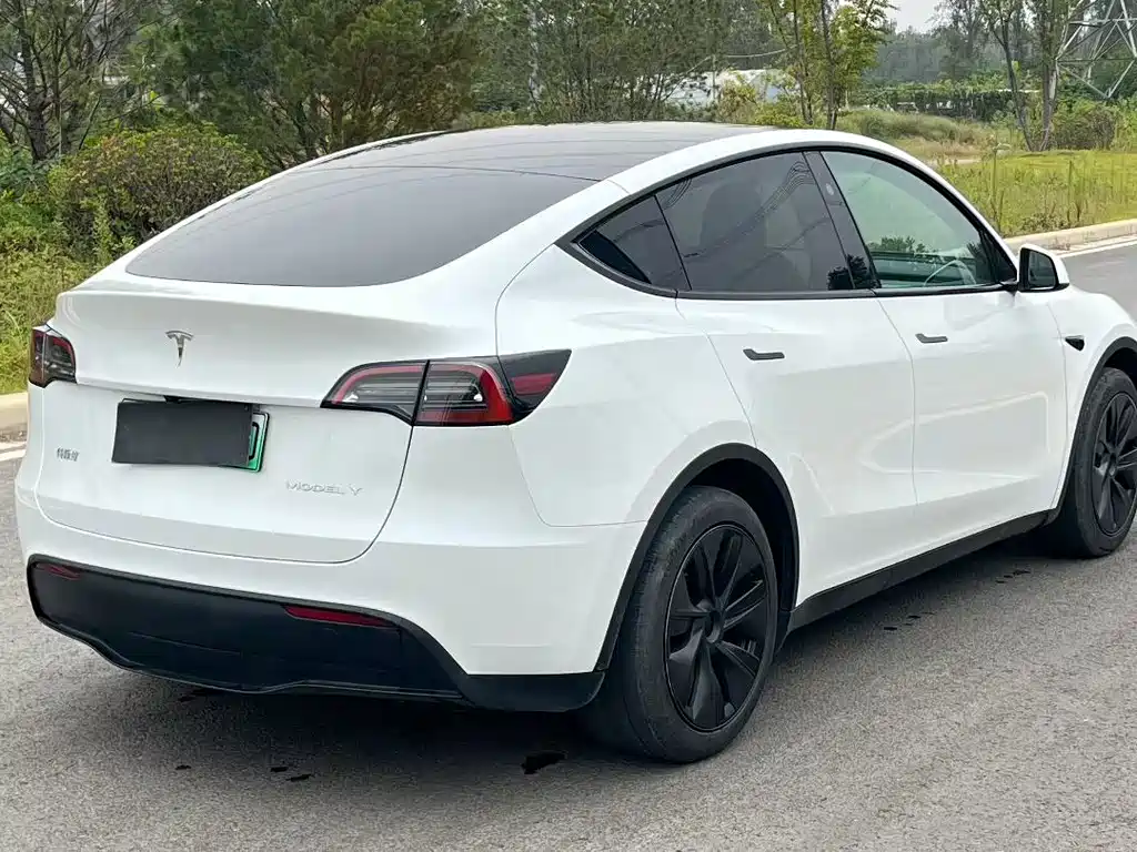 Tesla Model Y — фото 7