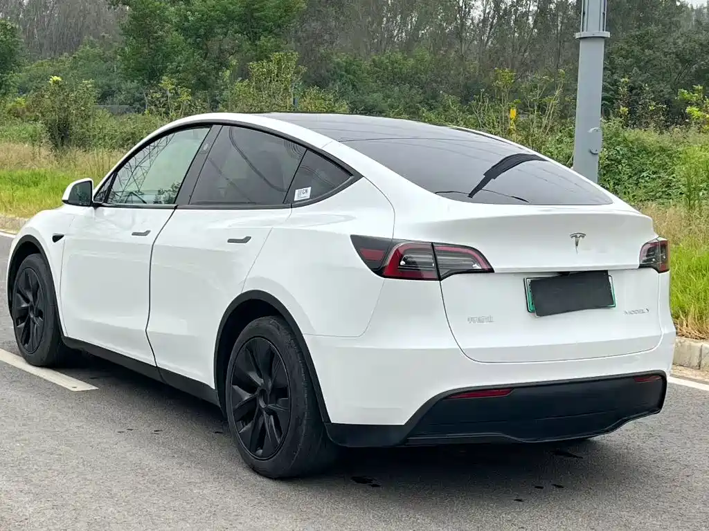 Tesla Model Y — фото 9