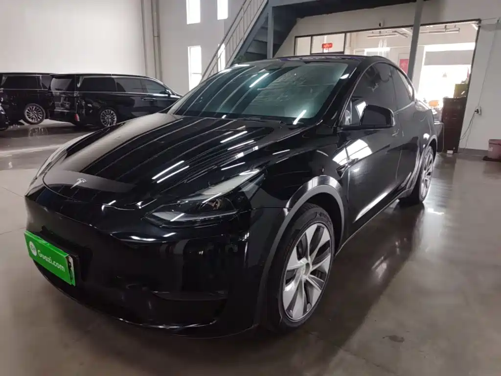 Tesla Model Y — фото 2