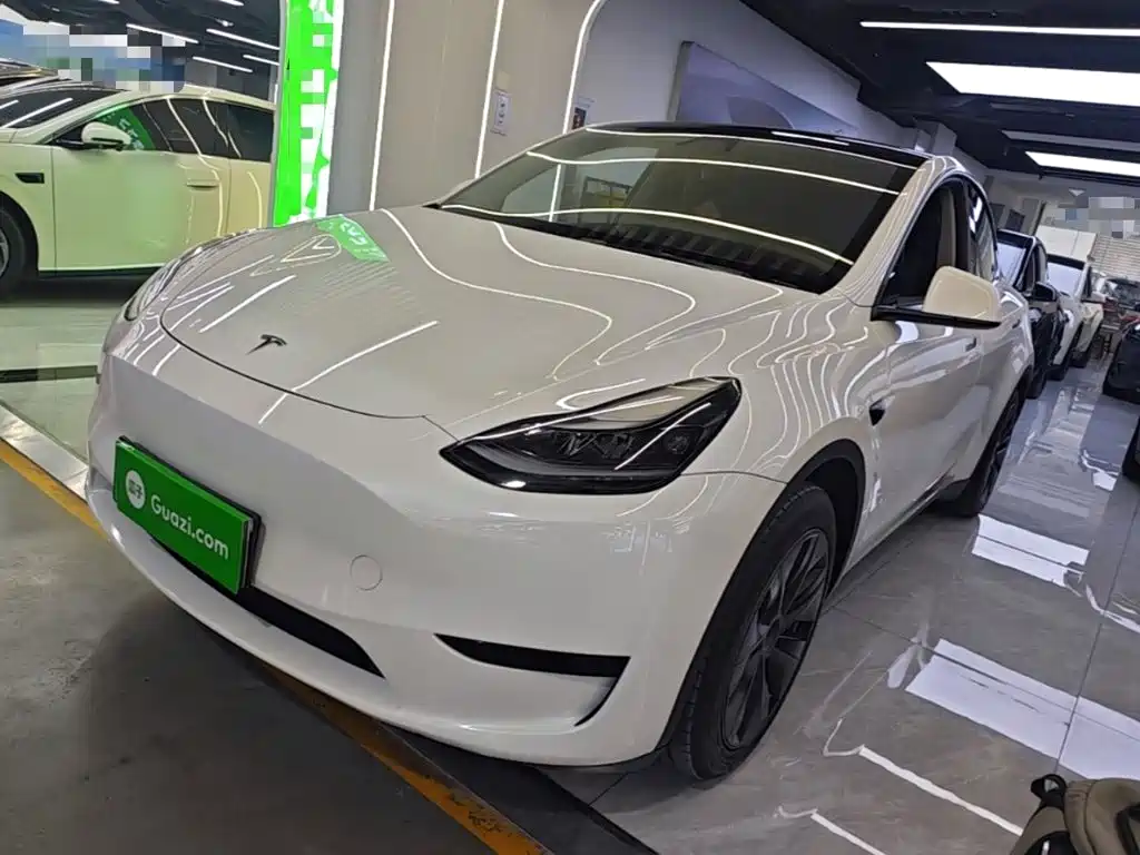 Tesla Model Y — фото 2