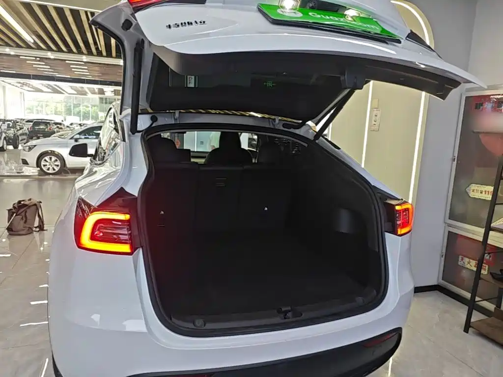 Tesla Model Y — фото 19