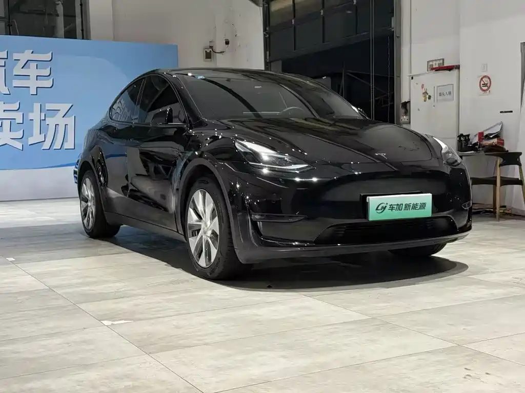 Tesla Model Y — фото 3